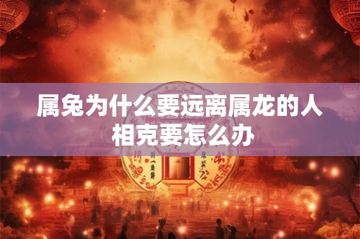 属兔为什么要远离属龙的人 相克要怎么办