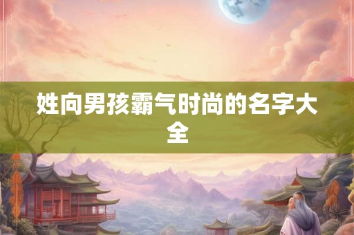 姓向男孩霸气时尚的名字大全