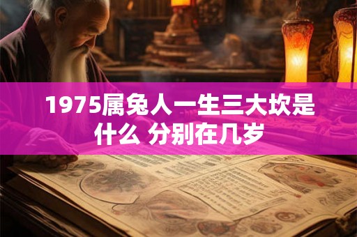 1975属兔人一生三大坎是什么 分别在几岁