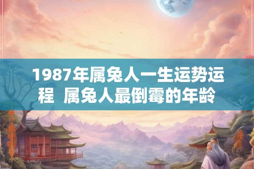 1987年属兔人一生运势运程  属兔人最倒霉的年龄