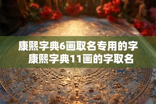 康熙字典6画取名专用的字  康熙字典11画的字取名