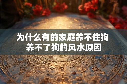 为什么有的家庭养不住狗 养不了狗的风水原因 为什么有的家庭养不住狗 养不了狗的风水原因