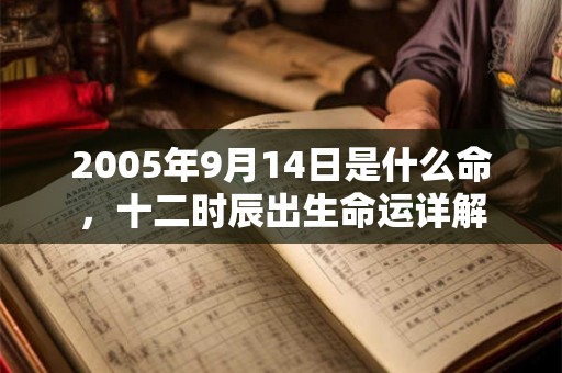 2005年9月14日是什么命，十二时辰出生命运详解
