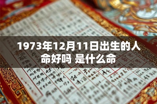 1973年12月11日出生的人命好吗 是什么命