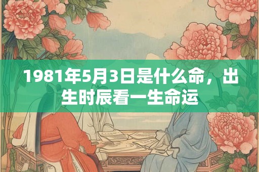 1981年5月3日是什么命，出生时辰看一生命运
