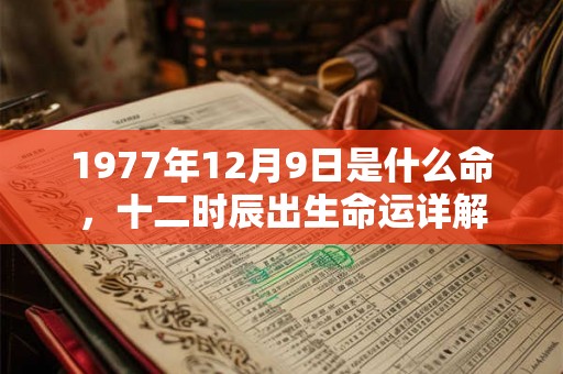 1977年12月9日是什么命,十二时辰出生命运详解 1977年12月9日是什么命,十二时辰出生命运详解
