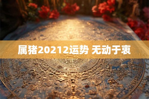 属猪20212运势 无动于衷
