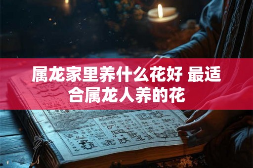 属龙家里养什么花好 最适合属龙人养的花 属龙家里养什么花好 最适合属龙人养的花