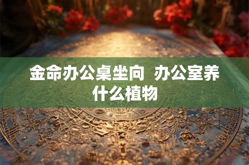 金命办公桌坐向  办公室养什么植物