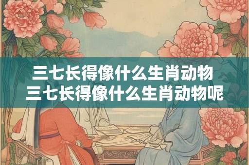 三七长得像什么生肖动物 三七长得像什么生肖动物呢