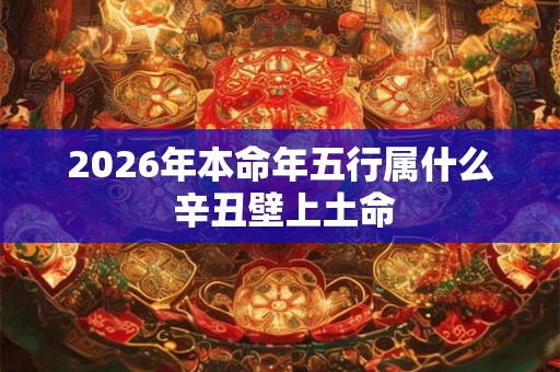 2026年本命年五行属什么 辛丑壁上土命