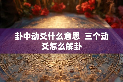 卦中动爻什么意思  三个动爻怎么解卦