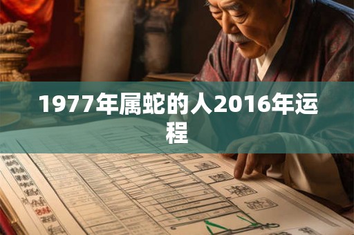 1977年属蛇的人2016年运程 1977年属蛇的人2016年运程
