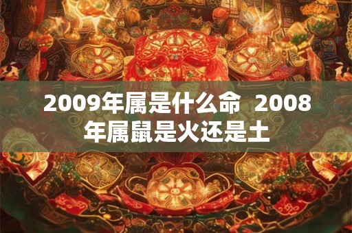 2009年属是什么命  2008年属鼠是火还是土