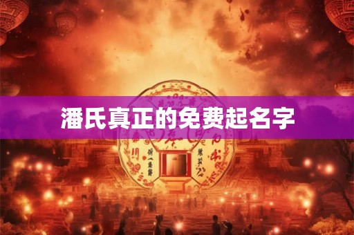 潘氏真正的免费起名字