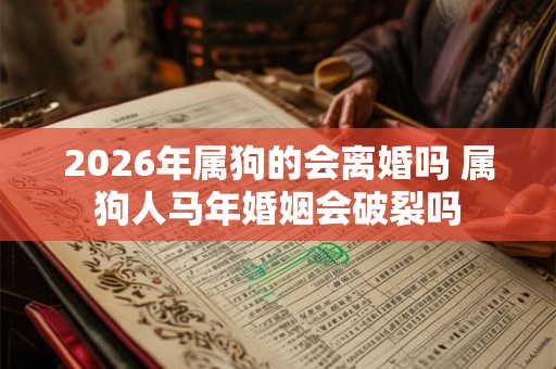 2026年属狗的会离婚吗 属狗人马年婚姻会破裂吗 2026年属狗的会离婚吗 属狗人马年婚姻会破裂吗