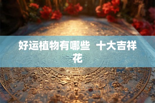 好运植物有哪些  十大吉祥花