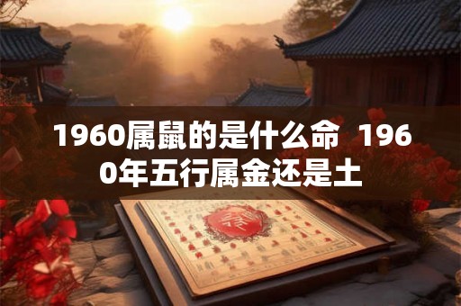 1960属鼠的是什么命  1960年五行属金还是土