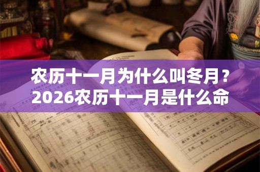 农历十一月为什么叫冬月？2026农历十一月是什么命？