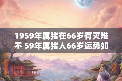 1959年属猪在66岁有灾难不 59年属猪人66岁运势如何