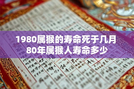 1980属猴的寿命死于几月 80年属猴人寿命多少