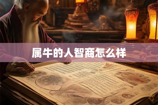 属牛的人智商怎么样 属牛的人智商怎么样