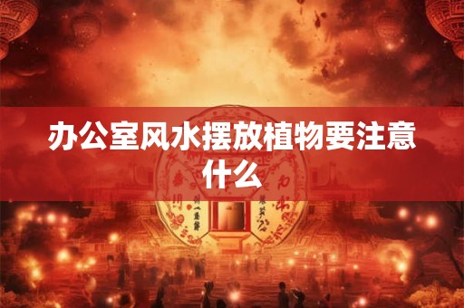 办公室风水摆放植物要注意什么