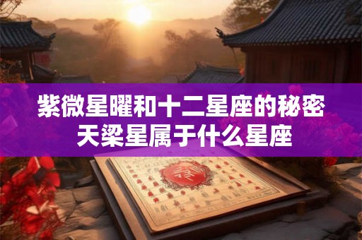 紫微星曜和十二星座的秘密 天梁星属于什么星座