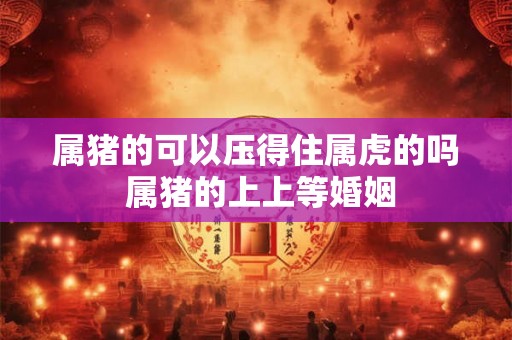 属猪的可以压得住属虎的吗 属猪的上上等婚姻 属猪的可以压得住属虎的吗 属猪的上上等婚姻