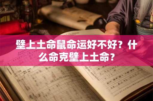 壁上土命鼠命运好不好？什么命克壁上土命？