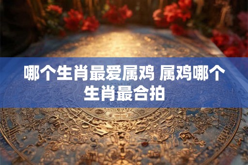 哪个生肖最爱属鸡 属鸡哪个生肖最合拍