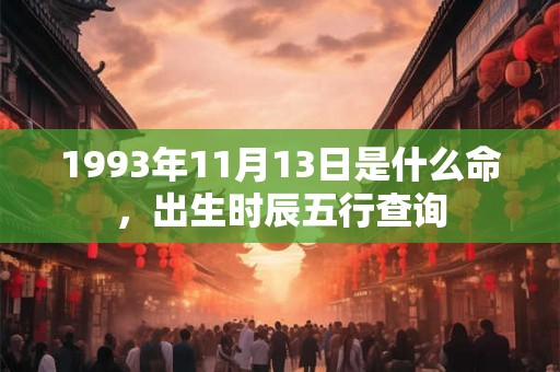 1993年11月13日是什么命，出生时辰五行查询