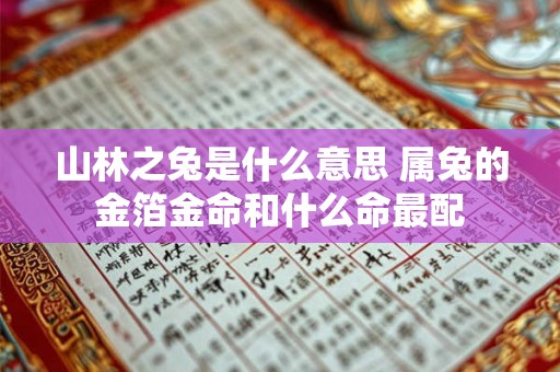 山林之兔是什么意思 属兔的金箔金命和什么命最配