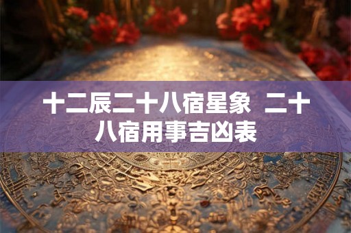 十二辰二十八宿星象 二十八宿用事吉凶表 十二辰二十八宿星象 二十八宿用事吉凶表