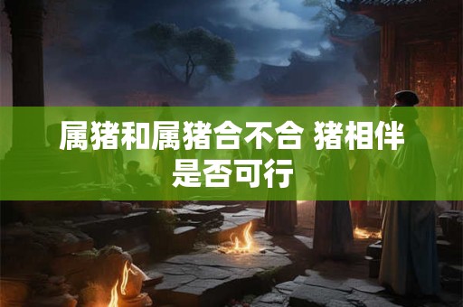 属猪和属猪合不合 猪相伴是否可行