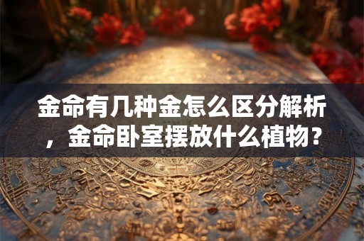 金命有几种金怎么区分解析，金命卧室摆放什么植物？