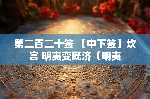 第二百二十签 【中下签】坎宫 明夷变既济（明夷