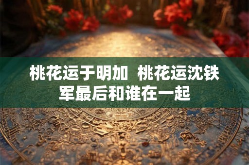 桃花运于明加  桃花运沈铁军最后和谁在一起