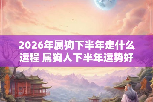2026年属狗下半年走什么运程 属狗人下半年运势好不好