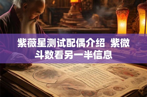 紫薇星测试配偶介绍  紫微斗数看另一半信息