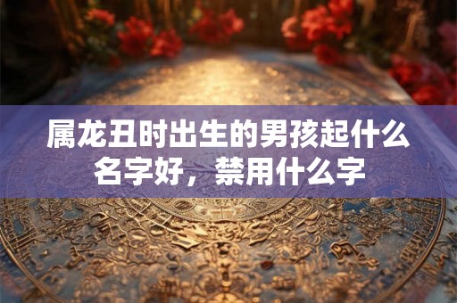 属龙丑时出生的男孩起什么名字好，禁用什么字