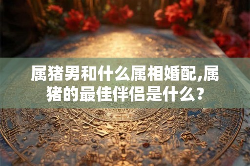 属猪男和什么属相婚配,属猪的最佳伴侣是什么？