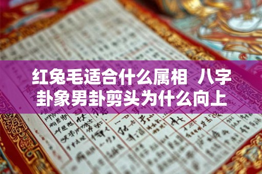 红兔毛适合什么属相  八字卦象男卦剪头为什么向上