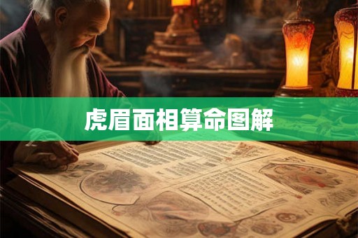 虎眉面相算命图解 虎眉面相算命图解