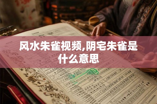 风水朱雀视频,阴宅朱雀是什么意思