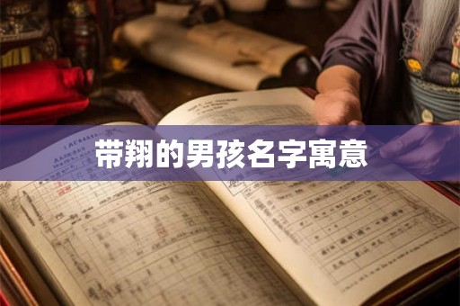 带翔的男孩名字寓意 带翔的男孩名字寓意
