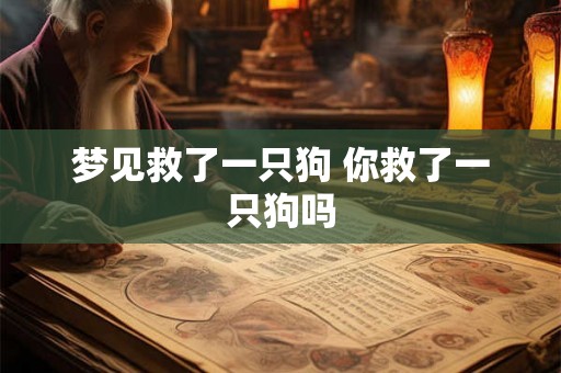梦见救了一只狗 你救了一只狗吗