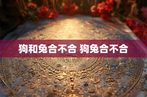 狗和兔合不合 狗兔合不合