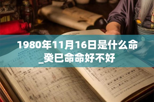1980年11月16日是什么命_癸巳命命好不好