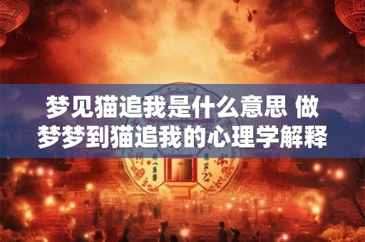 梦见猫追我是什么意思 做梦梦到猫追我的心理学解释 梦见猫追我是什么意思 做梦梦到猫追我的心理学解释